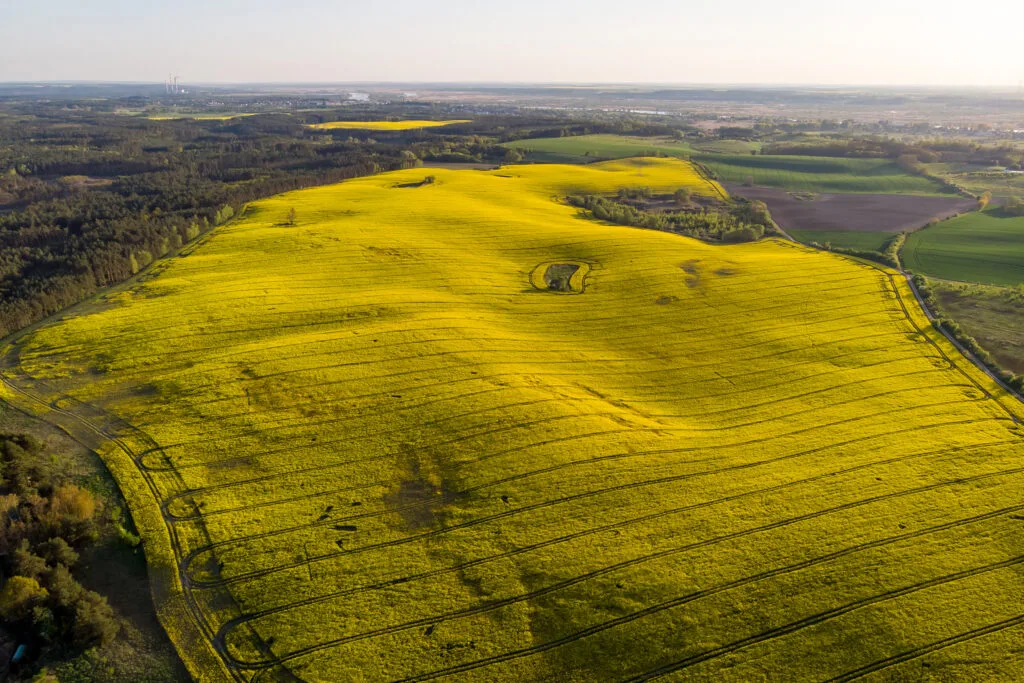 widok pagórków z lotu ptaka